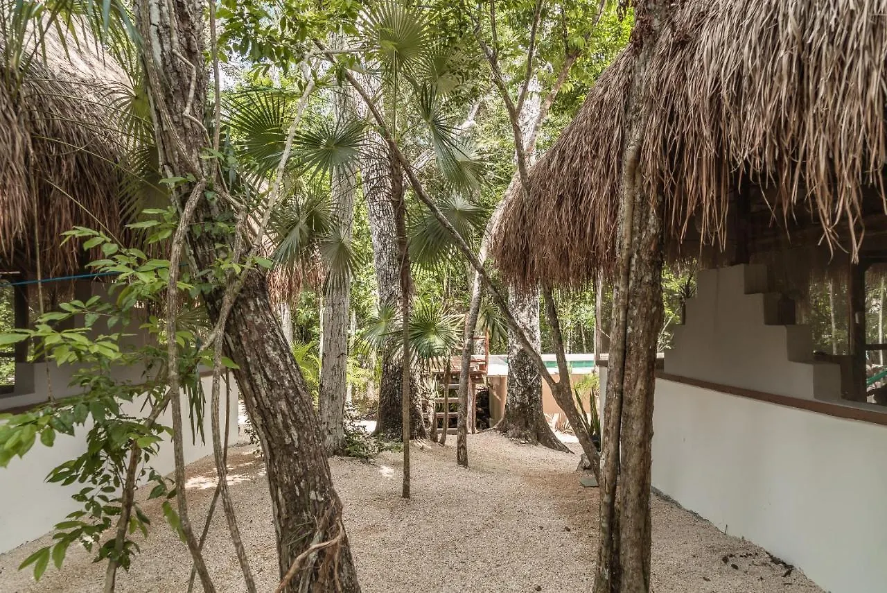 Gerendaház Blue Monkey Chemuyil Villa
